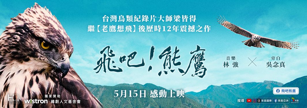 飛鷹